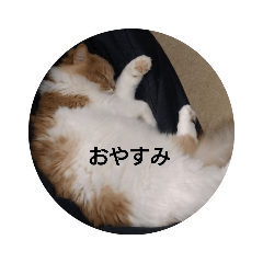 momoko_20210519000139