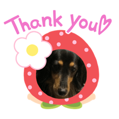 cherry_20210519090443