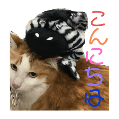 Yuka Okamoto_20210518034440