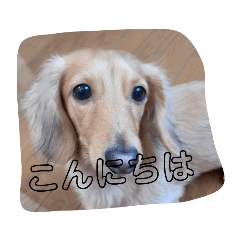 King_20210518192409