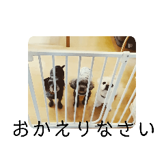 kaori_20210518183805