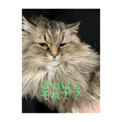 YUKA_20210518204656
