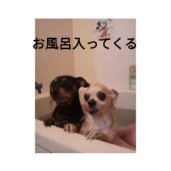 kaito_20210518203216