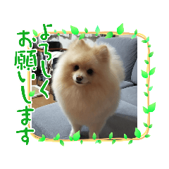 KAORI_20210518213555