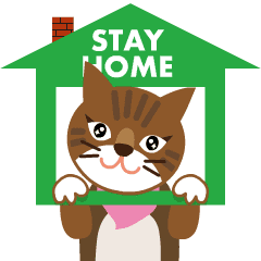 Animated brown tabby cat, Koume