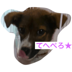 hana_20210518200014