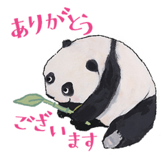 polite panda-san
