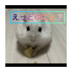 kaito_20210518234825