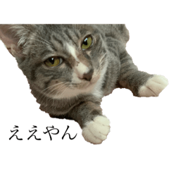 mimi_20210518235859