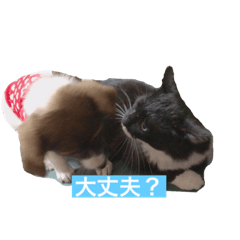 hana_20210518190147