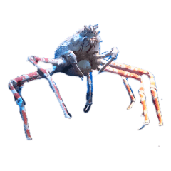 Next to keita_20210518192630