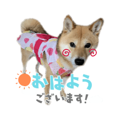 hana_20210519115110