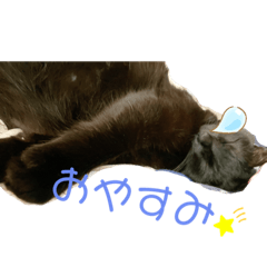 RK_20210519134528