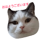 noriokun