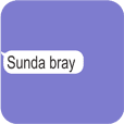 Text Sunda (Animated)