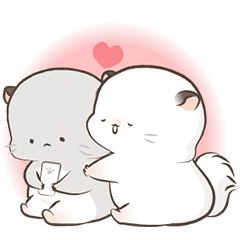 Simao & Bamao ชินชิลลานุ่มนิ่ม
