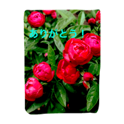 Botanical days
