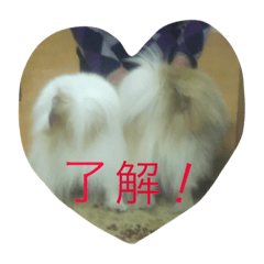 peco&ran's stamp