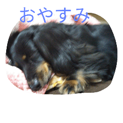mokathianyo