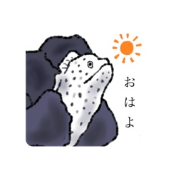 Rei_20210519133014