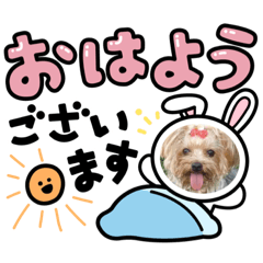 Asako_20210519173845