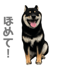 hana_20210519174754