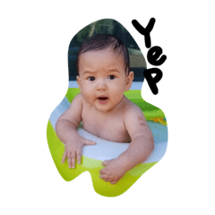 halu 1