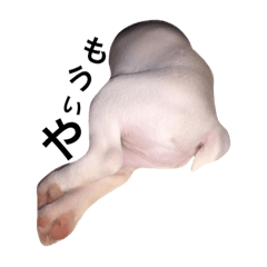 SUAMA2