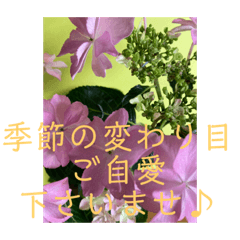 ayumi 23_20210519172948