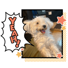 ken_20210519204252