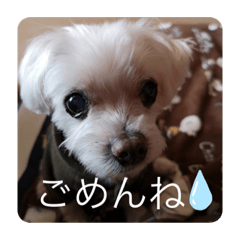 mimi_20210519220845
