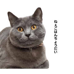 nanami_20210519222206