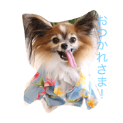 sumikko-kumi Louis
