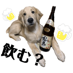 ayumi_20210520010336