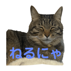 KAITO_20210520025403