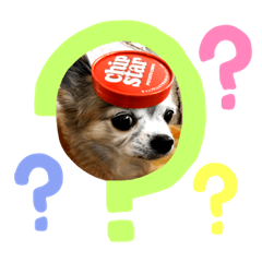 cocoa_20210519184353