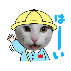 miki_20210519180121