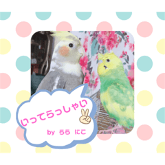 hana_20210519194131