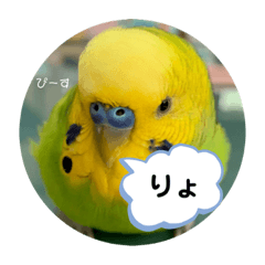 peace_20210519195119