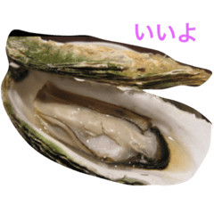 kogho