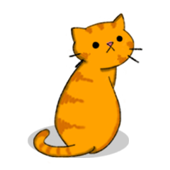 Orange_Cat