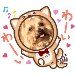 Asako_20210519214406