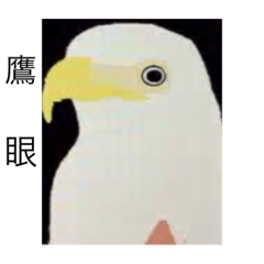 志摩a動物園