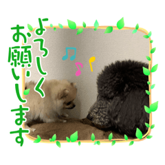 PONZU_20210520125723