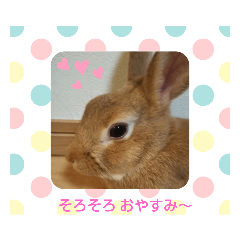 saya_20210519160827