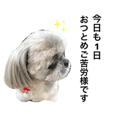 yukari_20210519223107