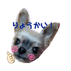 namihei_20210519225346