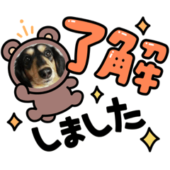 cocoa_20210520001045