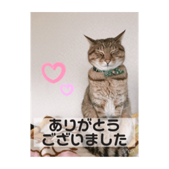 chisa_20210520151002