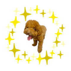 寶寶0519